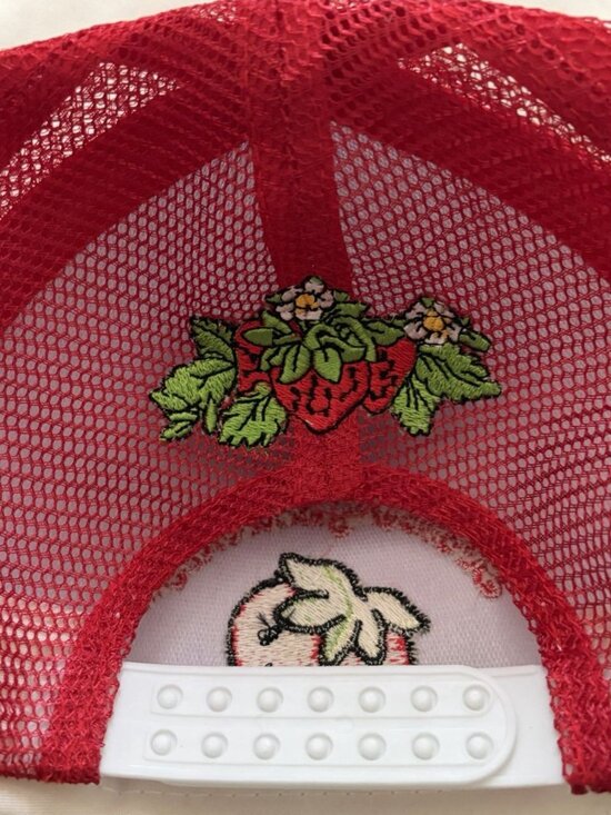 Dolls Kill X Strawberry Shortcake Embroidered Trucker Hat NWOT main image 6